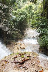 08-Air Terjun Salopa waterfalls